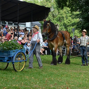 Fete des Myrtilles 2016 Vielsalm-Davin_2461