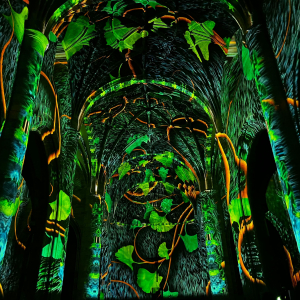 Genesis, Bilbao 2024 © Fever