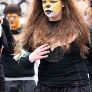 Carnaval de La Roche 2015 - 4352