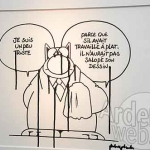 Philippe Geluk expose le Chat-6465