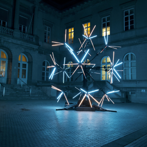 Neuron, Juan Fuentes, Mons en Lumières 2026 © Maëlane Toulemont