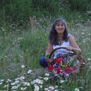  Françoise Gabriel Nos plantes sauvages  Comment les récolter, les cuisiner et les utiliser en remèdes 