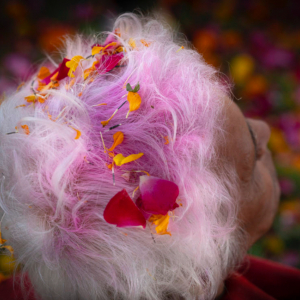 Exposition de photographies de Carine Doutrelepont 