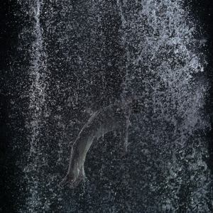 Bill Viola, Tristan’s Ascension (The Sound of a Mountain Under a Waterfall), 2005. Video/sound installation. Photo: Kira Perov © Bill Viola Studio