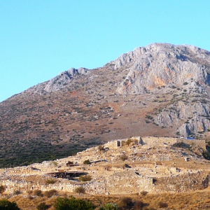 Mycènes ( photo : F. Detry ) Mycènes ( photo : F. Detry )