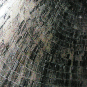 Mycènes ( photo : F. Detry ) Mycènes ( photo : F. Detry )