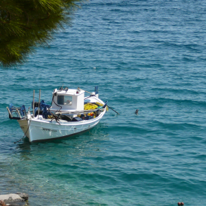 Promenade à Ermioni ( photo : F. Detry ) Promenade à Ermioni ( photo : F. Detry )