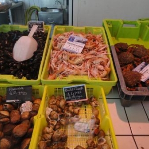 Marche aux poissons