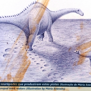 Le site des dinosaures ( Photo F. DETRY )