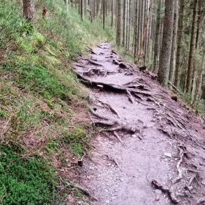 Un parcours piégeux ( Photo Detry )