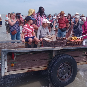 Fête de la Crevette 2024 à Oostduinkerke ( Photo : F.Detry )