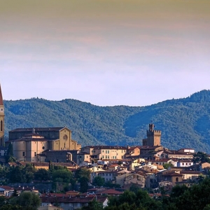 14. Arezzo