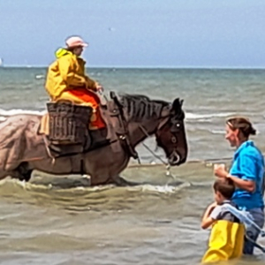 Fête de la Crevette 2024 à Oostduinkerke ( Photo : O.Lassine  )