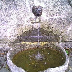 16. La fontaine du Pont d’Al Cute  ( photo F. Detry )