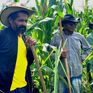 Au Brésil, les travailleurs ruraux, organisés en petites communautés, occupent des terres pour faire valoir leurs droits ( goias2023-romain_veys_eda-formosa-3-1200x900 )