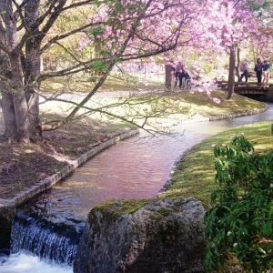 Toutes les photos sont de François Detry