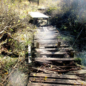 Caillebotis endommagés voire détruits ( photo Detry )