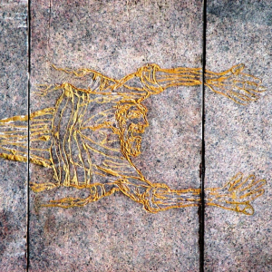 Le massacre de Paneriai ( Lituanie ) ( Photo F. Detry ) Le massacre de Paneriai ( Lituanie ) ( Photo F. Detry )