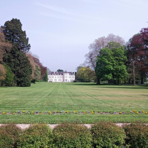 Le château de Forêt