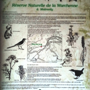 La Réserve naturelle de la Warchenne