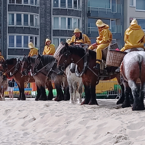 Fête de la Crevette 2024 à Oostduinkerke ( Photo : F.Detry )