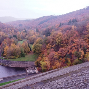 Le barrage de la Gileppe ( le 02-11-2025 / photo F. Detry ) Le barrage de la Gileppe ( le 02-11-2025 / photo F. Detry )