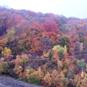 Le barrage de la Gileppe ( le 02-11-2025 / photo F. Detry ) Le barrage de la Gileppe ( le 02-11-2025 / photo F. Detry )