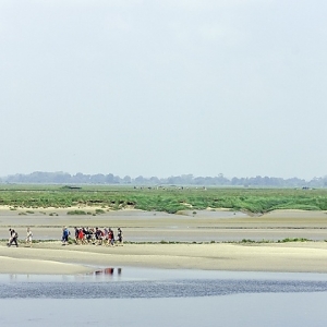 2 Baie de Somme (Somme)