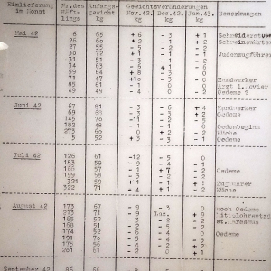 Le Fort de Breendonk ( photo: F. Detry ) Le Fort de Breendonk ( photo: F. Detry )