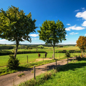 Lommersweiler_landschaft_05-c-ostbelgien.eu_dominik_ketz