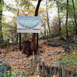 Promenade du "Thier des Oies"