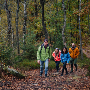 3. La Fagne du Sud ( de Malmedy à Robertville (13 km) et de Robertville à Butgenbach (8,8 km). 