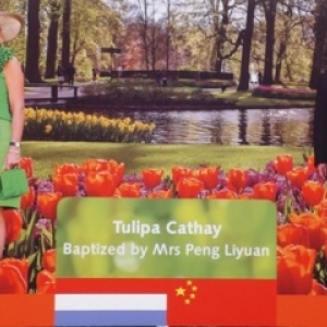 M. ( Premier Ministre chinois ) et  Mme PENG LIUYAN venue baptiser la "Tulipa CATHAY "