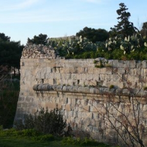 Les remparts de la cite