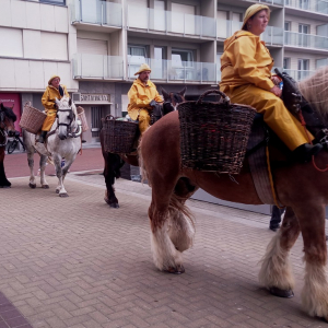 Fête de la Crevette 2024 à Oostduinkerke ( Photo : F.Detry )