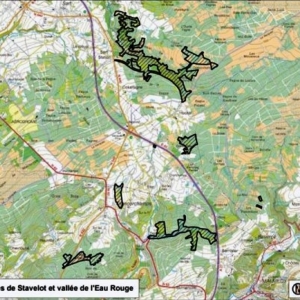 Projet BE33040: Fagnes de Stavelot et vallée de l'Eau Rouge ( partie du site: 349,1 ha )