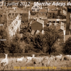 Quatrième édition de la Marche des Terrils 2017                         