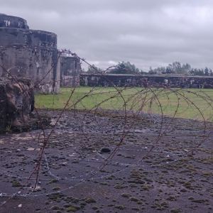Le Fort de Breendonk ( photo: F. Detry ) Le Fort de Breendonk ( photo: F. Detry )