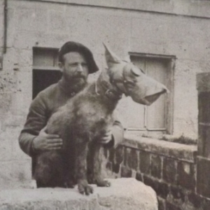 Chien portant un masque à gaz