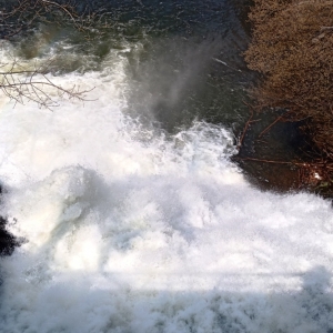 Le débit actuel de la cascade ( photo F. Detry )