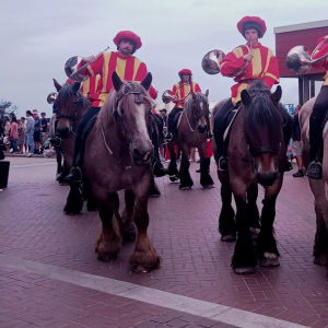 Fête de la Crevette 2024 à Oostduinkerke ( Photo : F.Detry )