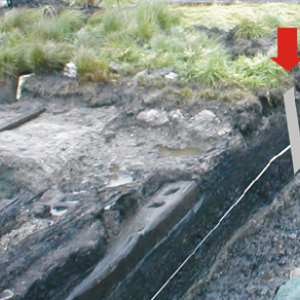 La route romaine des Fagnes ( "Via Mansuerisca")