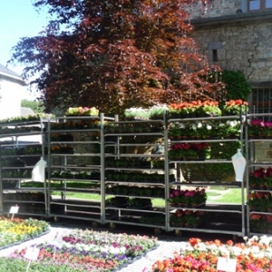 MALMEDY              15ème édition de la  Fête des Fleurs et du Jardin