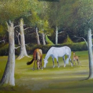 SOLWASTER  Peintures sur themes equestres ( Isabelle Ghem )