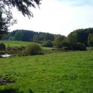 La reserve naturelle de Kalebum