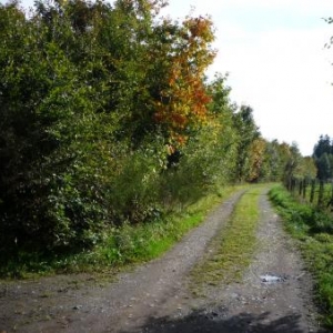 Chemin - frontiere entre la Belgique et le Luxembourg