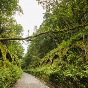 Lengeler : Tunneleinfahrt ( Photo : Tourismusagentur Ostbelgien )