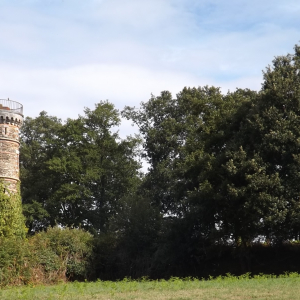 Le château de Clermont ( à Cellier ) ( photo Detry )