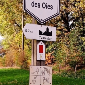 Promenade du "Thier des Oies"