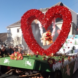 Cwarmè 2015       Dimanche de carnaval à Malmedy